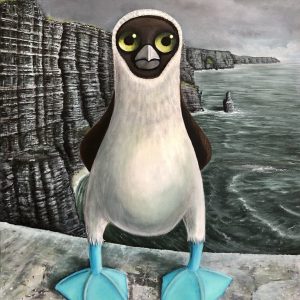Blue-footed Booby after having landed at the Cliffs of Moher
